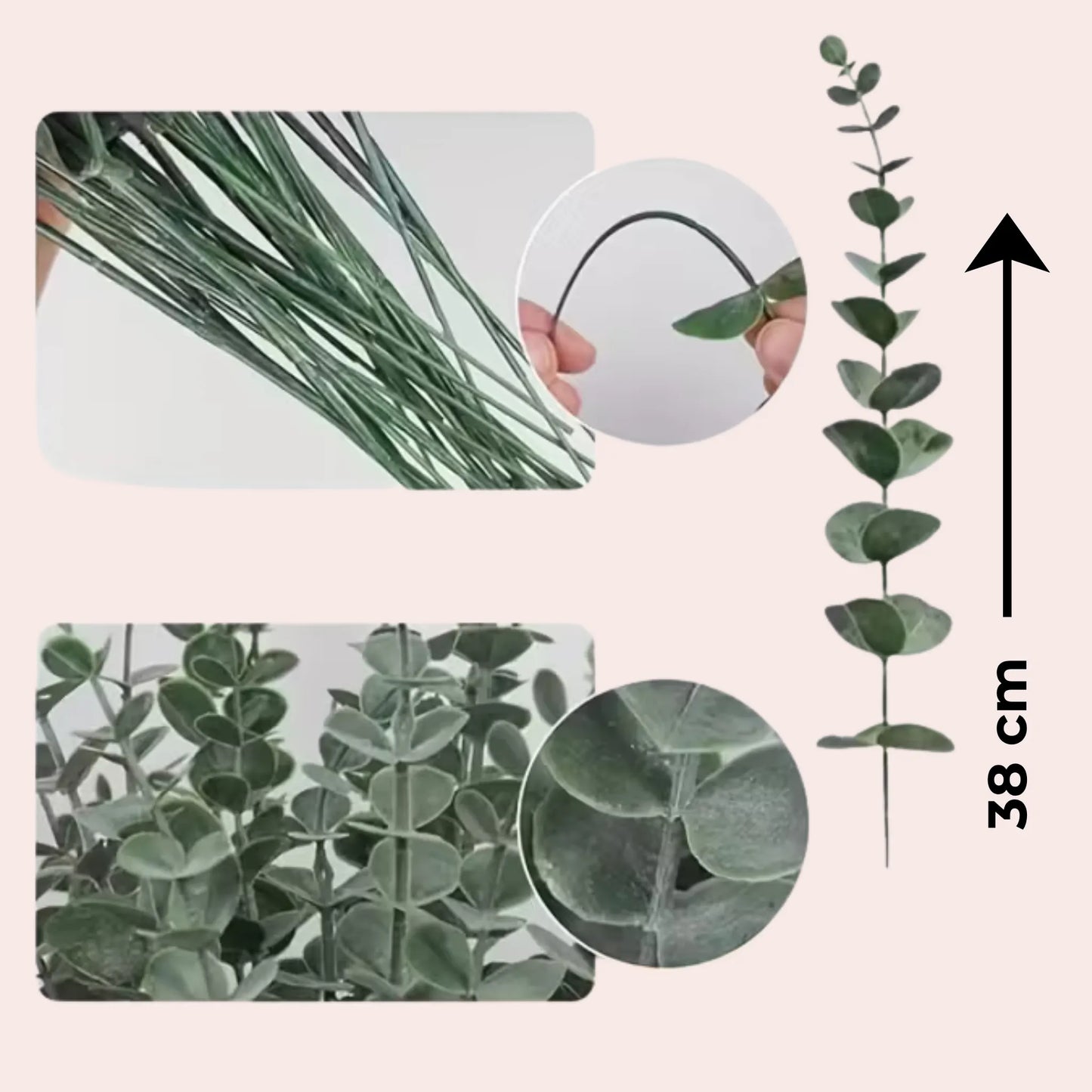 10 grønne eukalyptusgrener