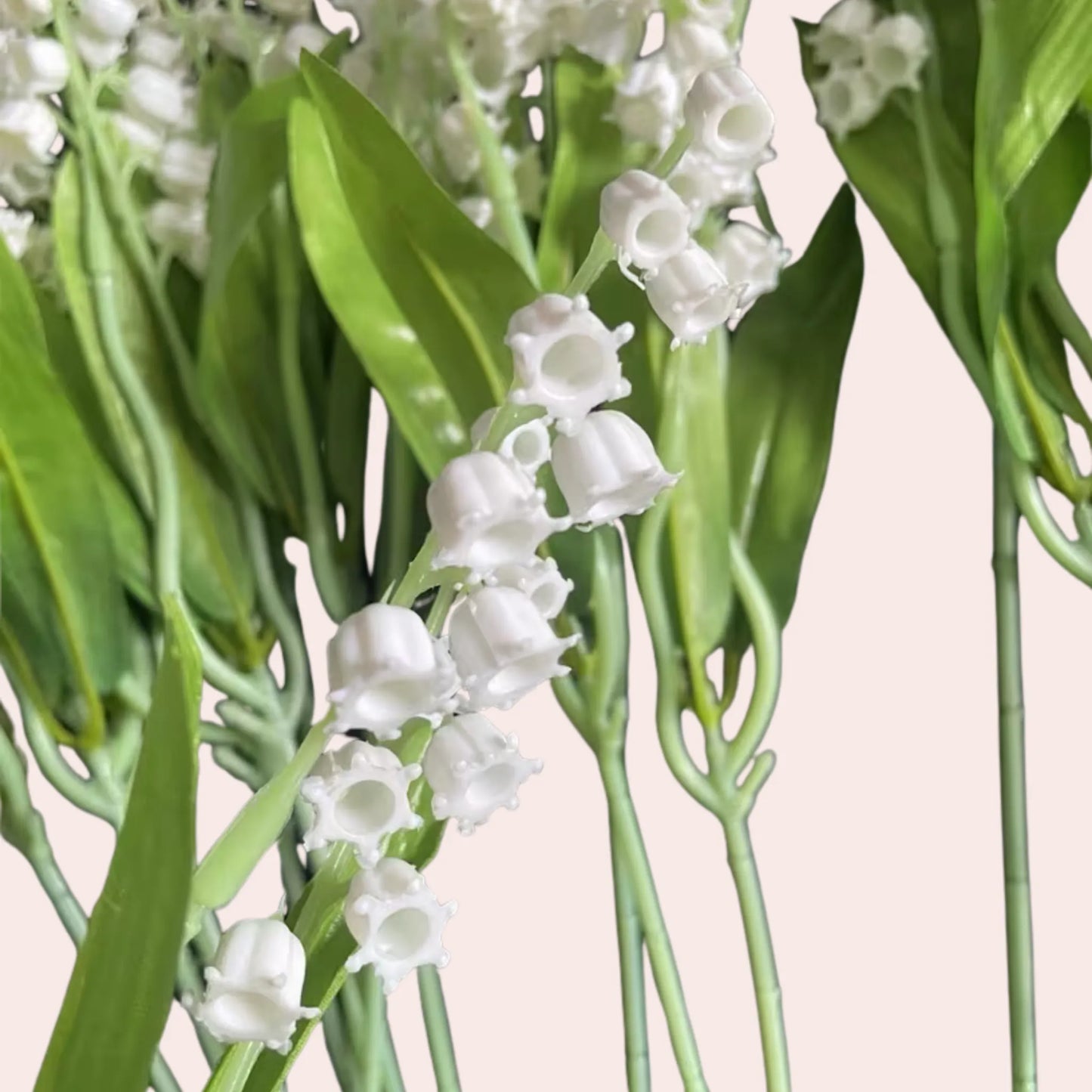 Liljekonvall: bukett med 20 stk