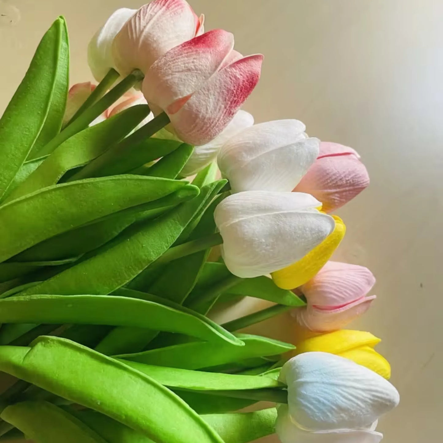 15 tulipaner i ulike farger