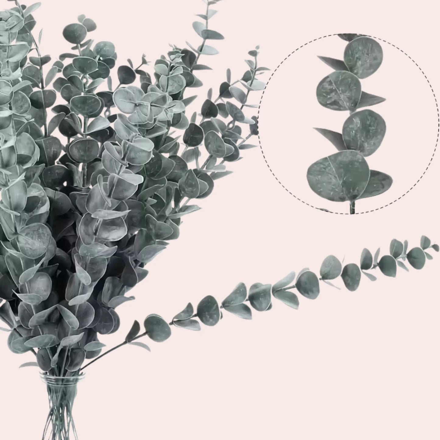 10 grønne eukalyptusgrener 