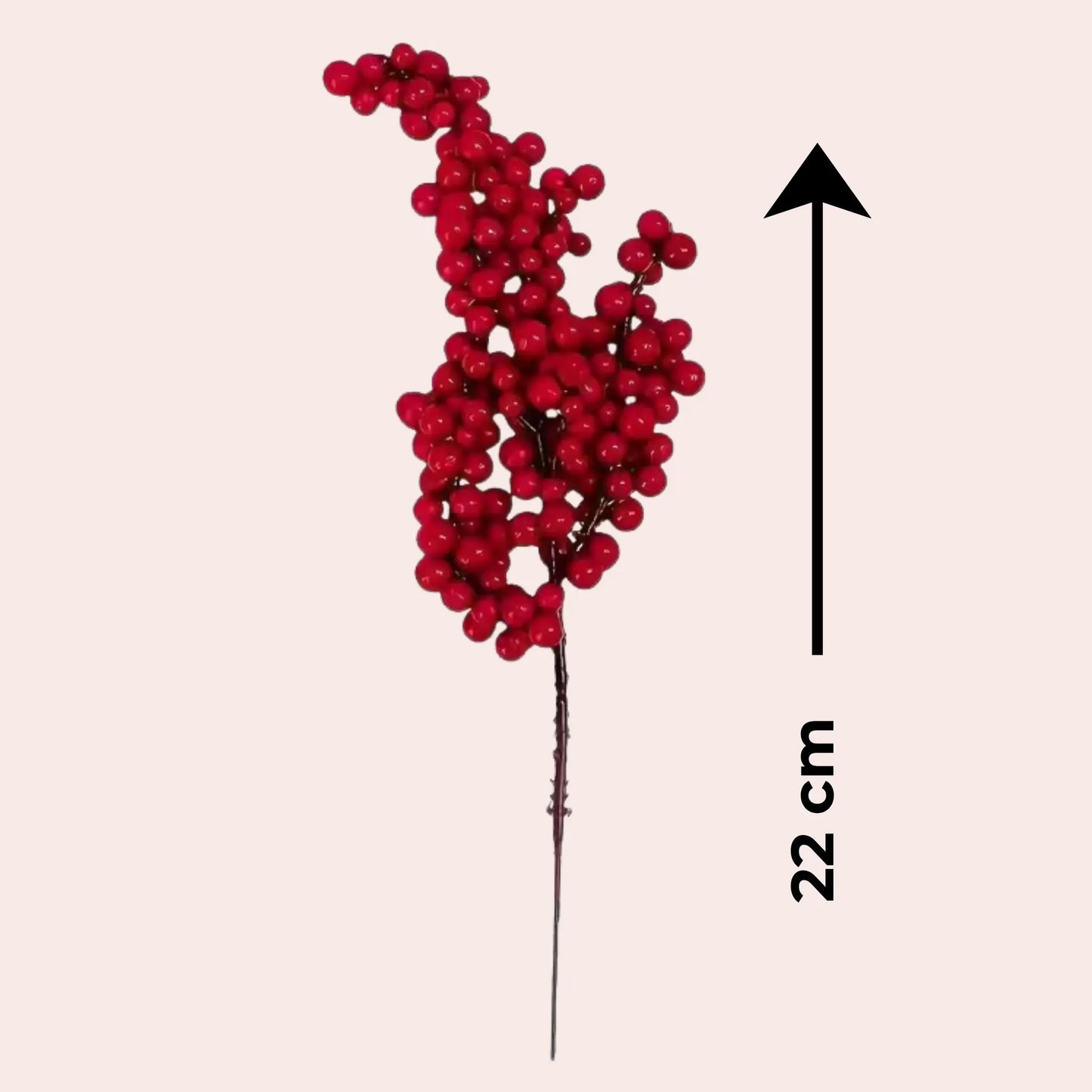 10 kvister med røde bær