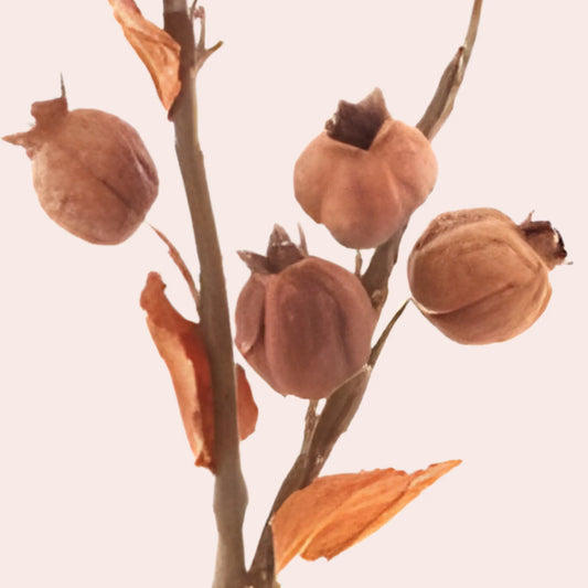 Kvist med løkblomster: 75 cm