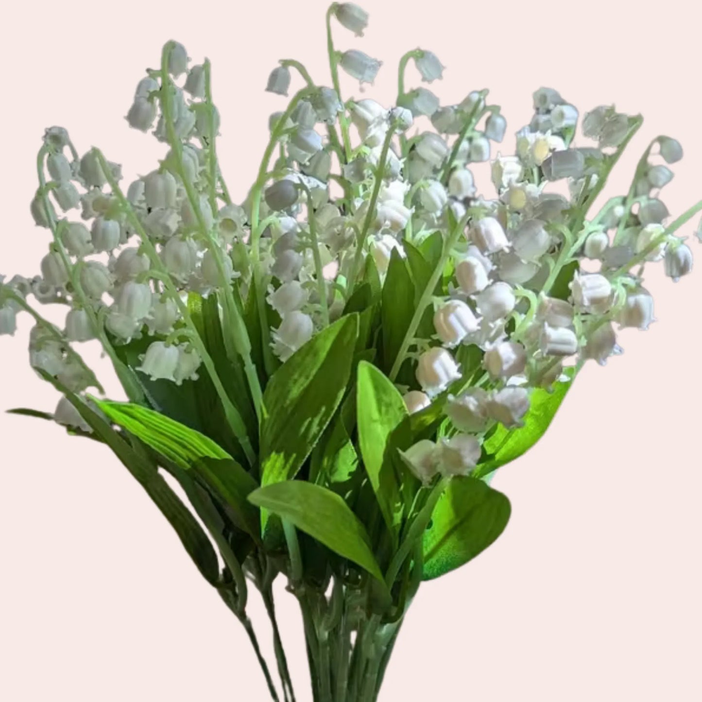 Liljekonvall: bukett med 20 stk
