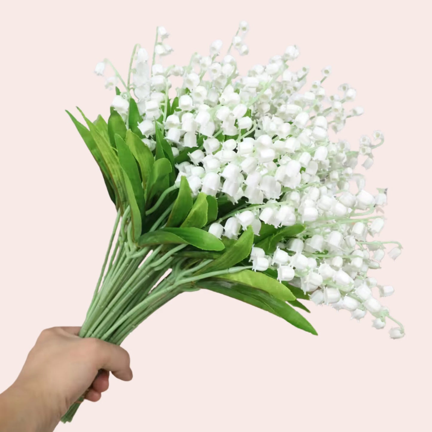 Liljekonvall: bukett med 20 stk
