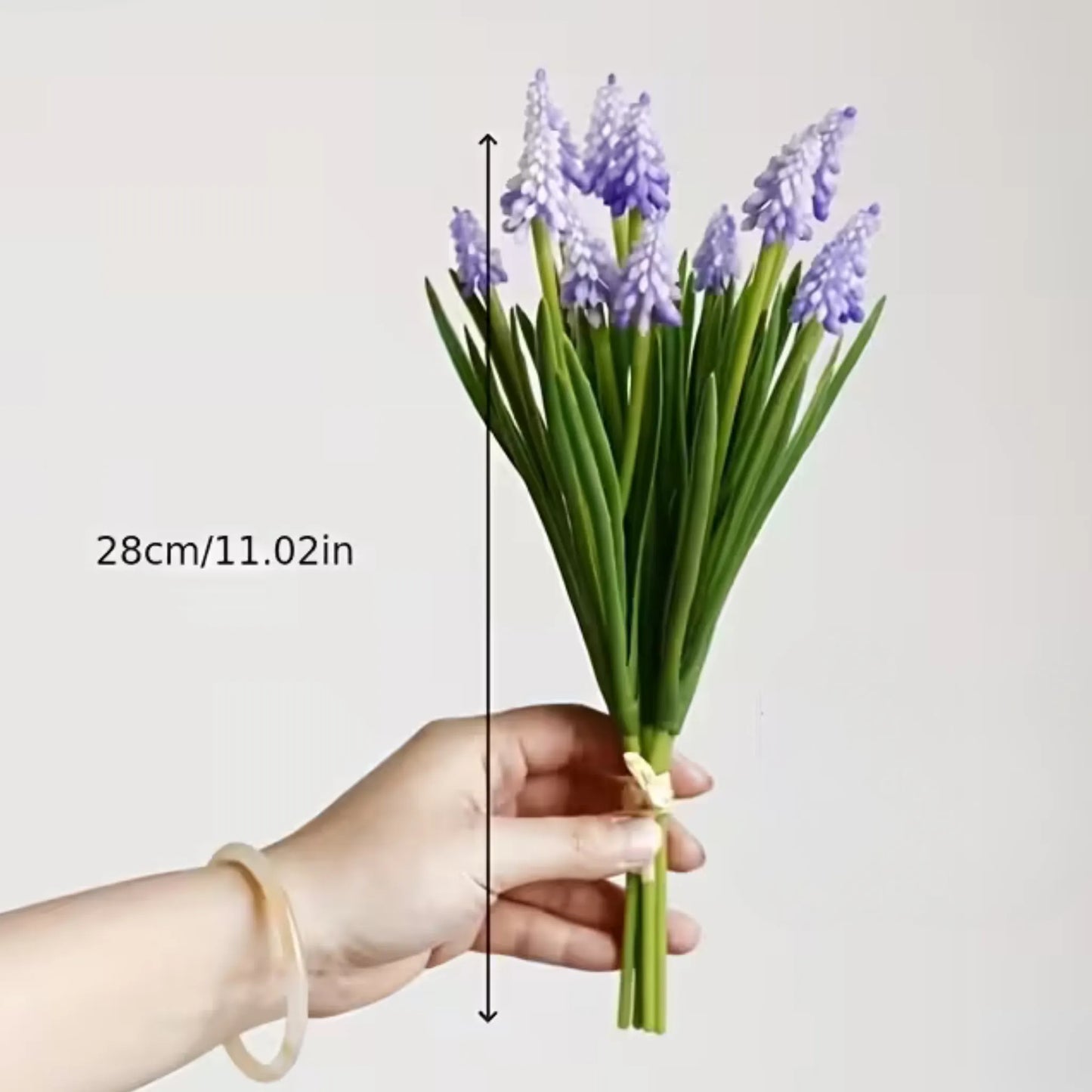 Bukett med 12 Muscari (perleblomster)