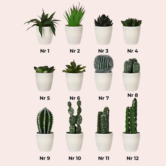 Kunstige kaktuser og sukkulenter