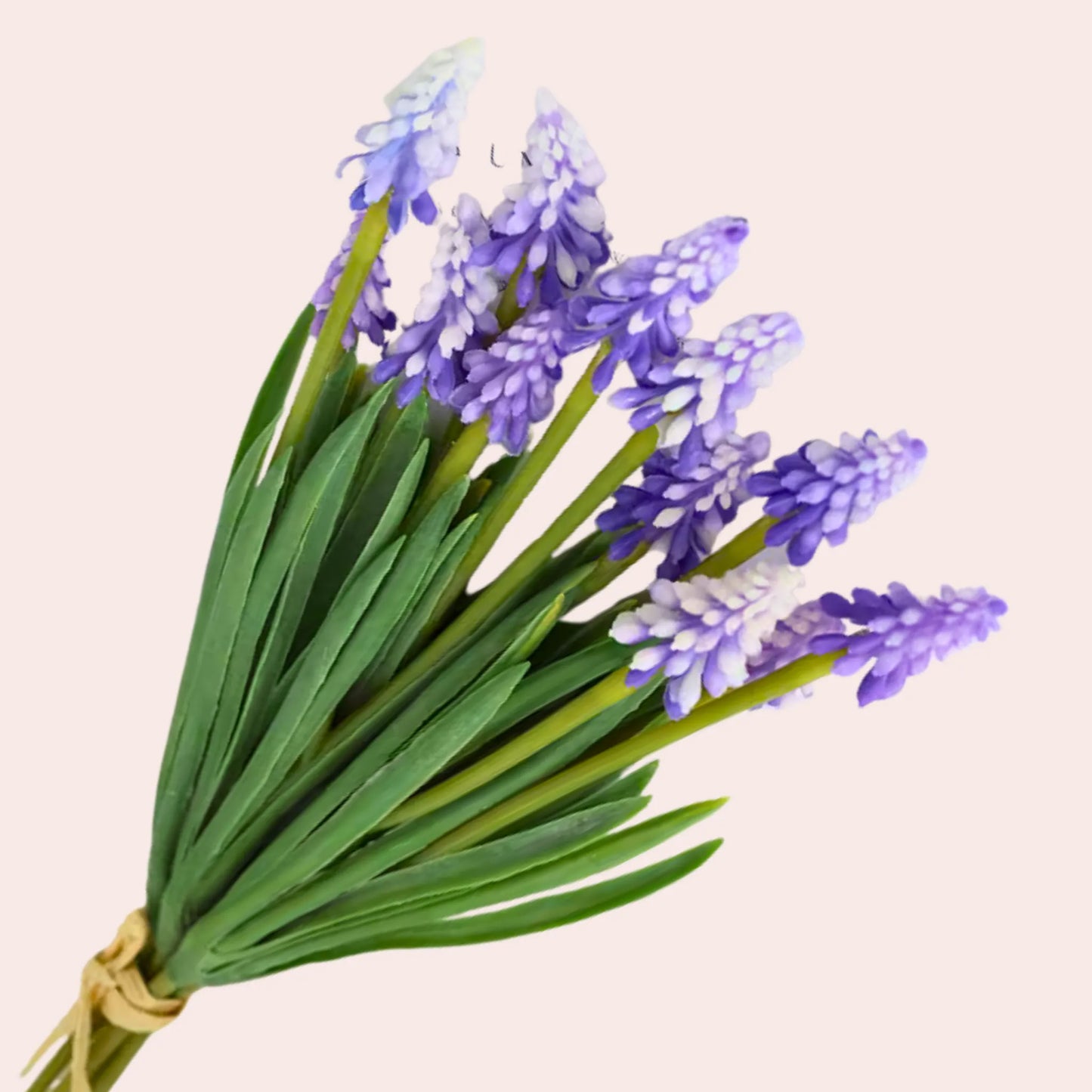 Bukett med 12 Muscari (perleblomster)