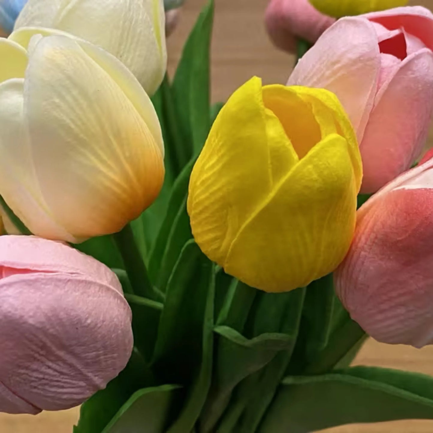 15 tulipaner i ulike farger