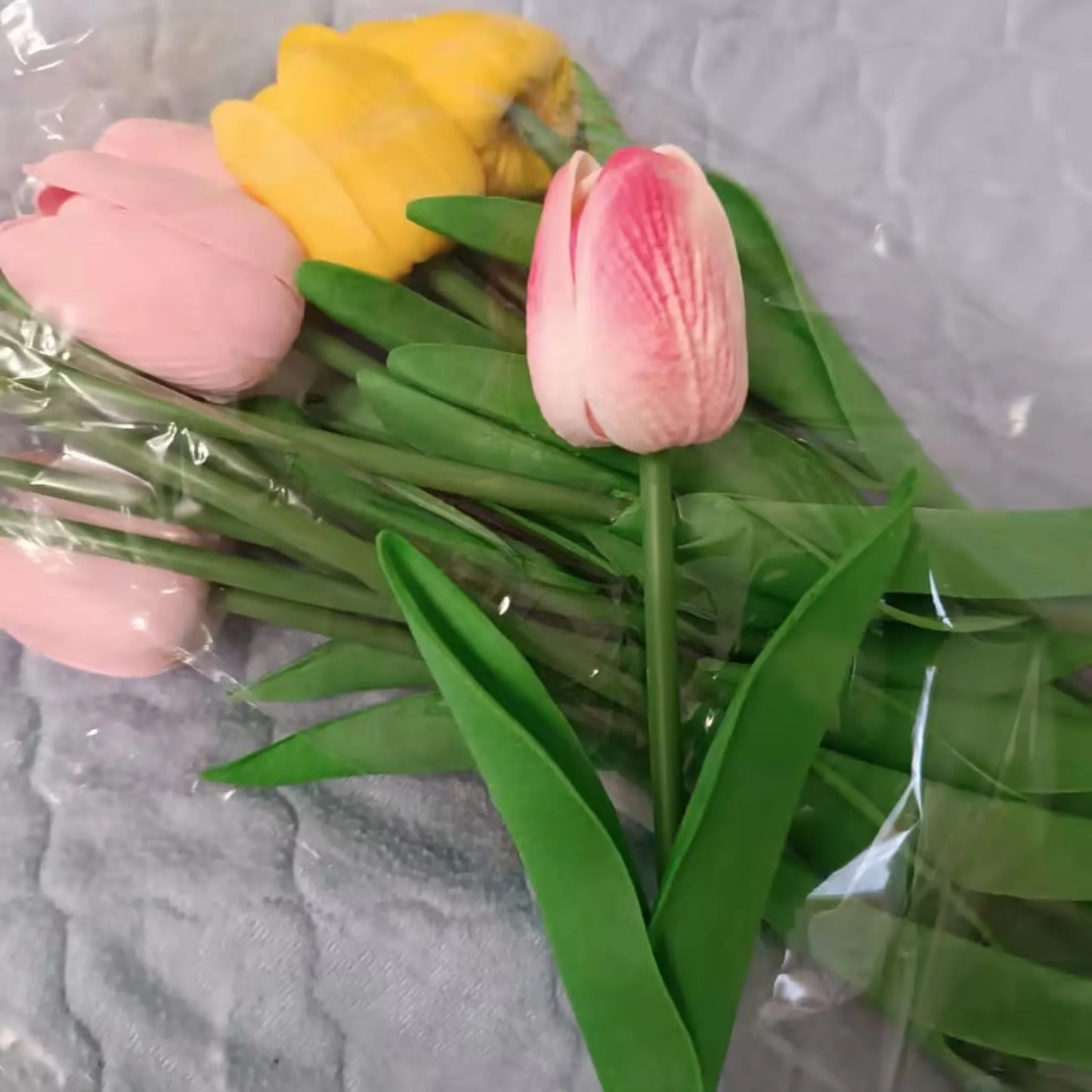 15 tulipaner i ulike farger