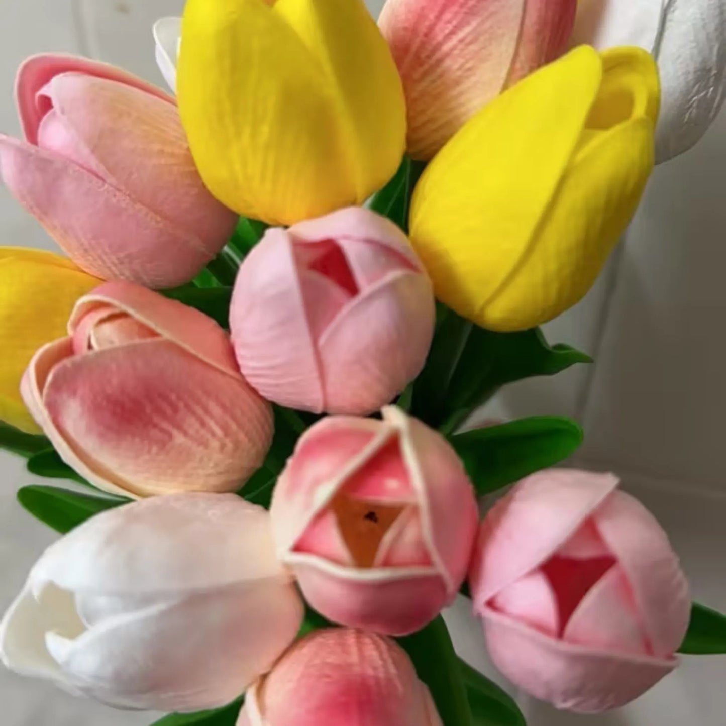 15 tulipaner i ulike farger