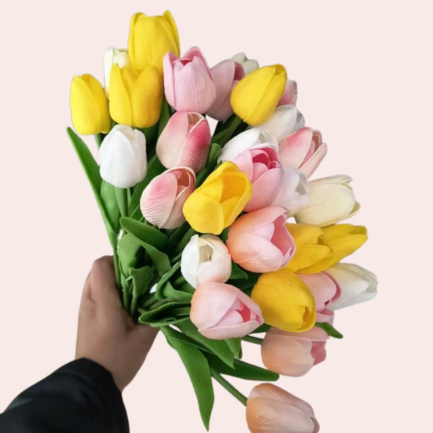 15 tulipaner i ulike farger