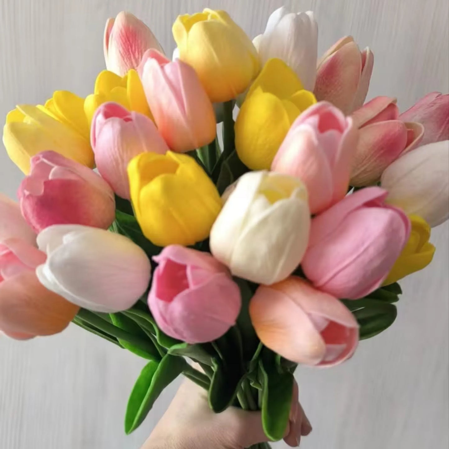 15 tulipaner i ulike farger