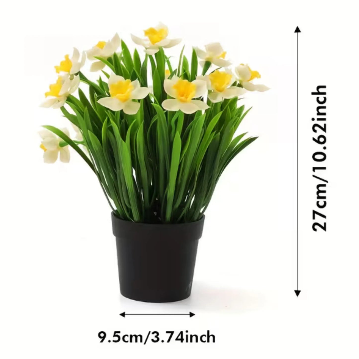 Hvit påskelilje i sort potte