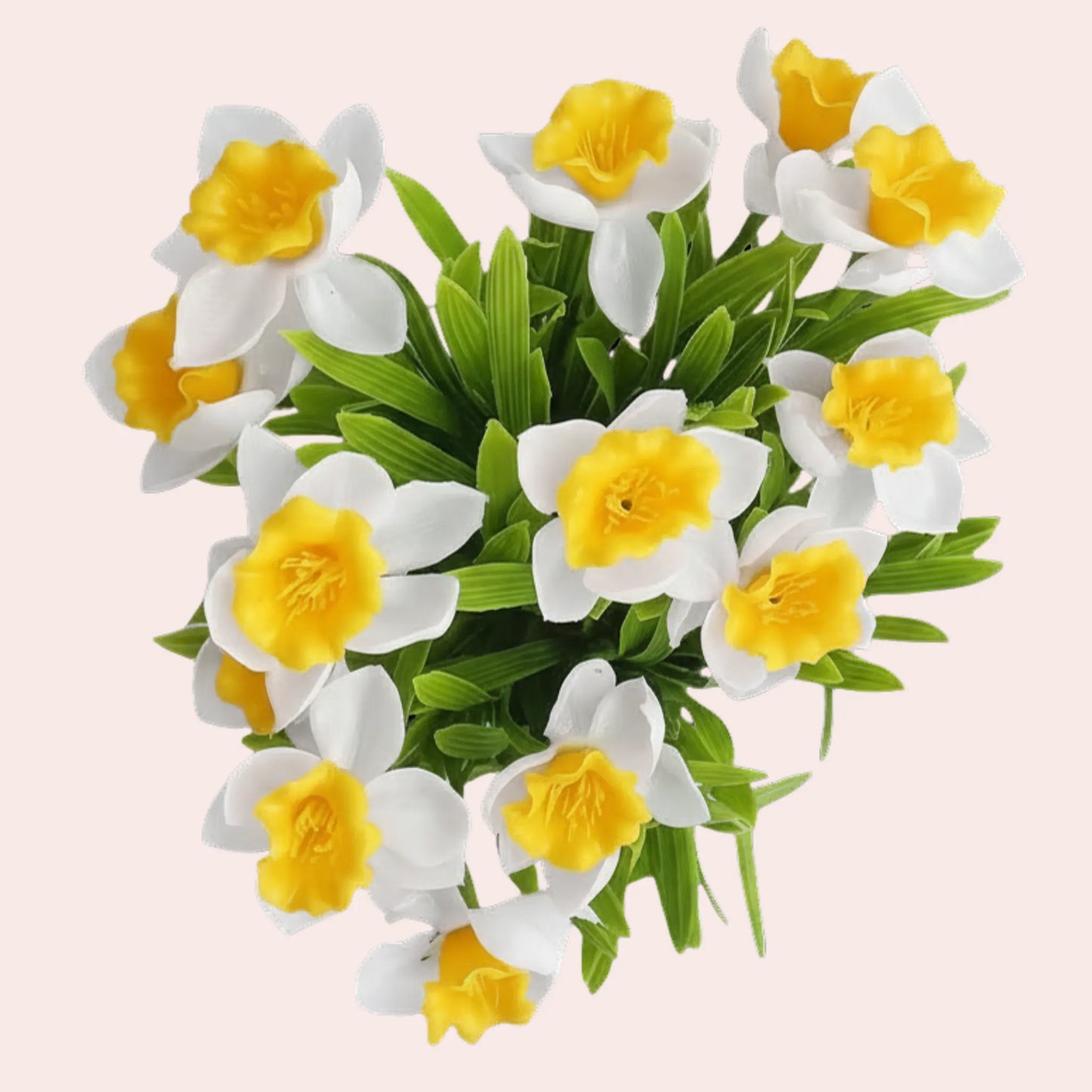 Hvit påskelilje i sort potte