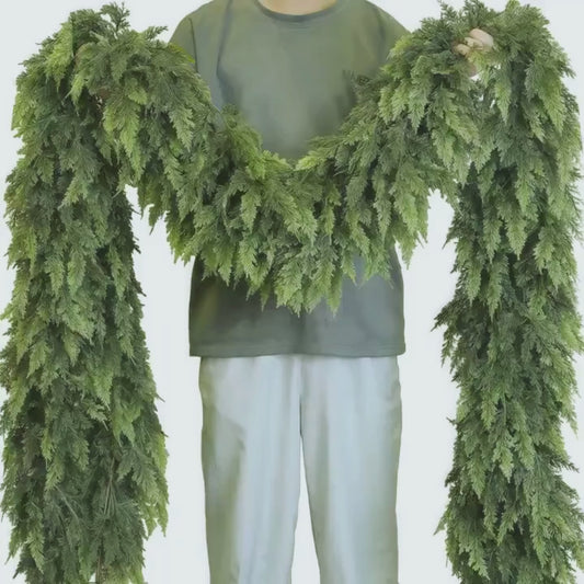 2 naturlige sedertregirlandere