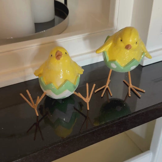 Sittende kylling med hvitt og grønt egg